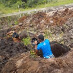 First things first : les fondations