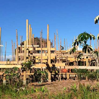 Vue générale de la construction